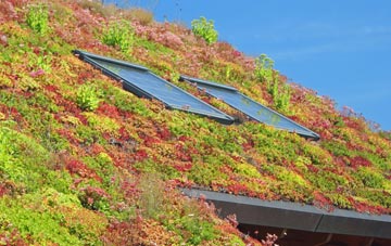 Cauldwells living roof systems