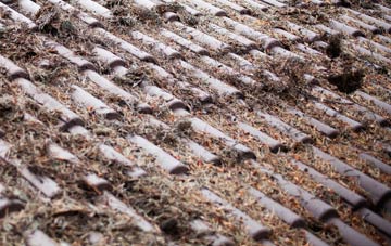 Cauldwells roof cleaning companies